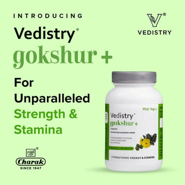https://cdn.shopify.com/s/files/1/1857/6931/products/ooBlrw8xiw.jpg?v=1683721851